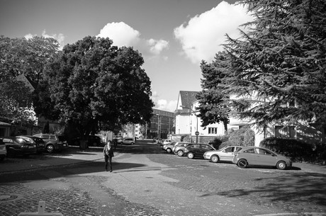 lindenthal