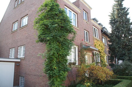lindenthal