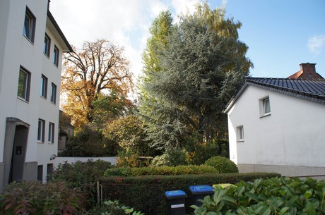 lindenthal