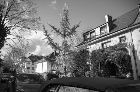lindenthal