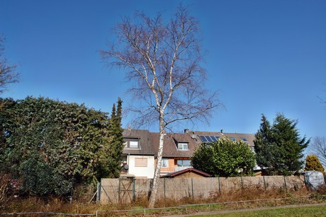 lindweiler