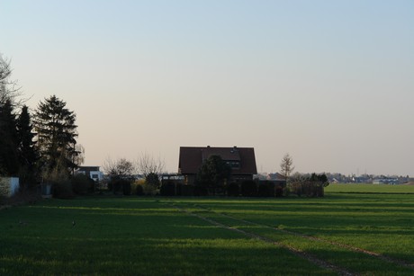 loevenich