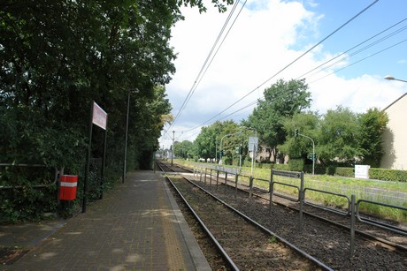 longerich