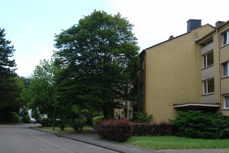 longerich
