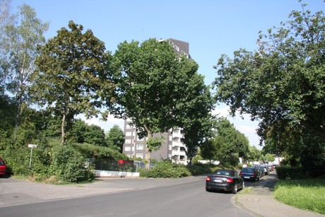 longerich