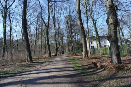 Marienburg