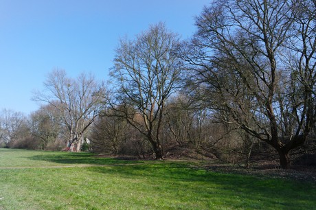 Marienburg