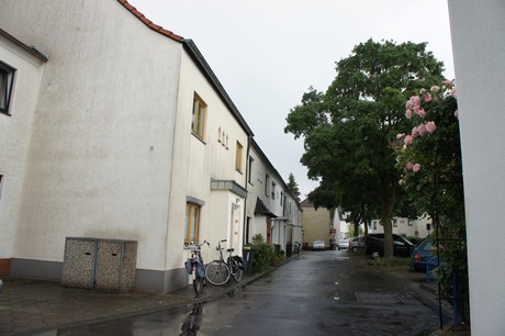 mauenheim