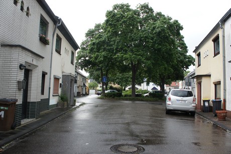 mauenheim