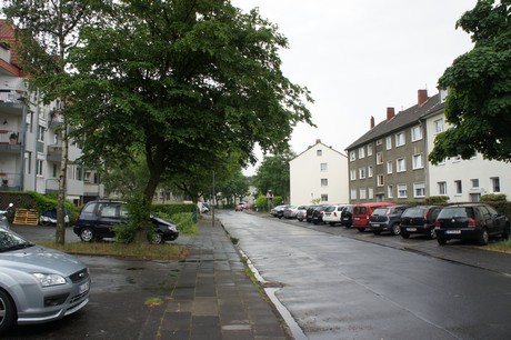 mauenheim