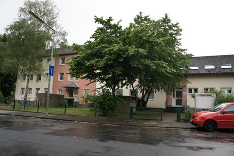 mauenheim