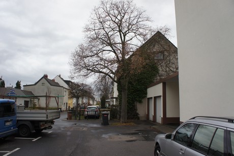 mauenheim