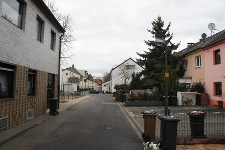 mauenheim