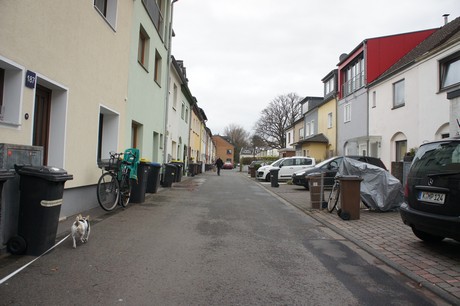 mauenheim
