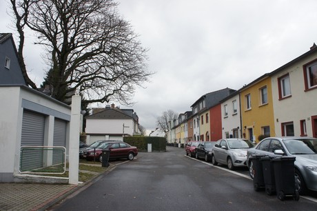 mauenheim