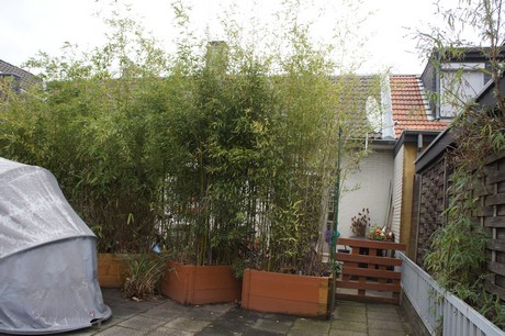 mauenheim