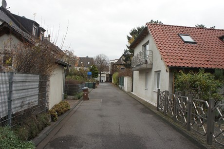 mauenheim
