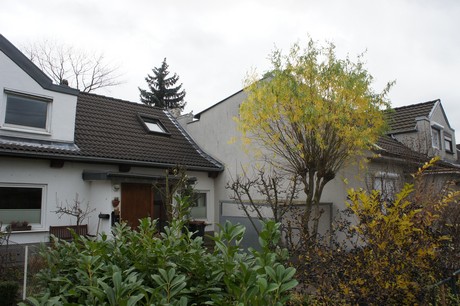 mauenheim