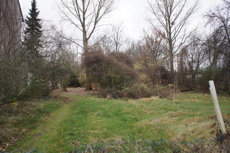 mauenheim