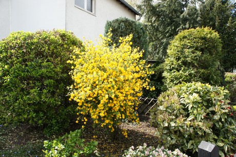 merkenich