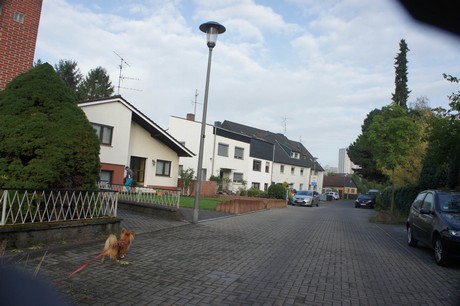 meschenich