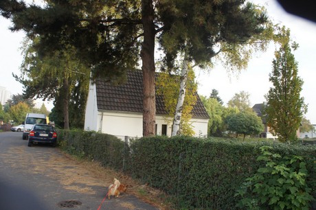 meschenich