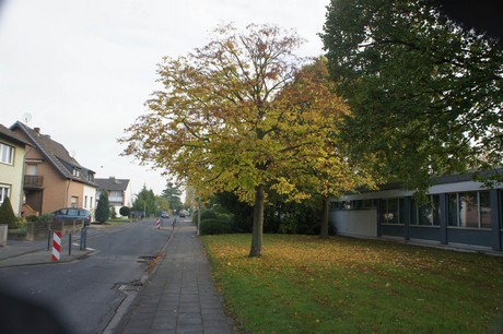 meschenich