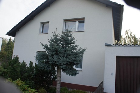 meschenich