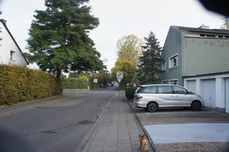meschenich