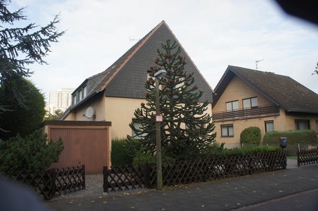 meschenich