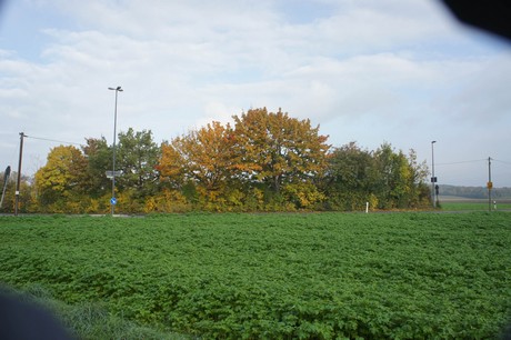 meschenich