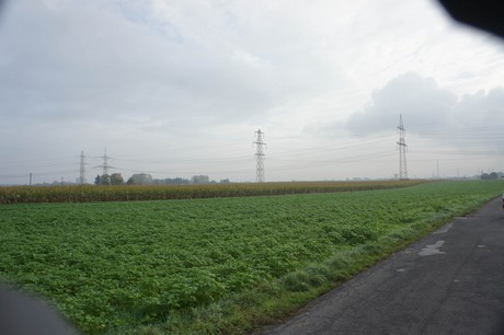 meschenich