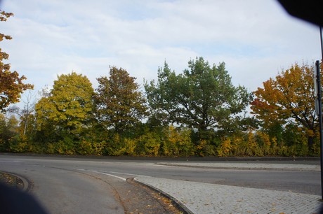 meschenich