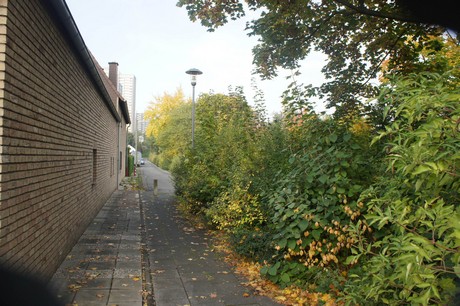 meschenich