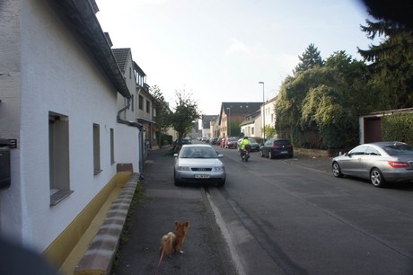 meschenich