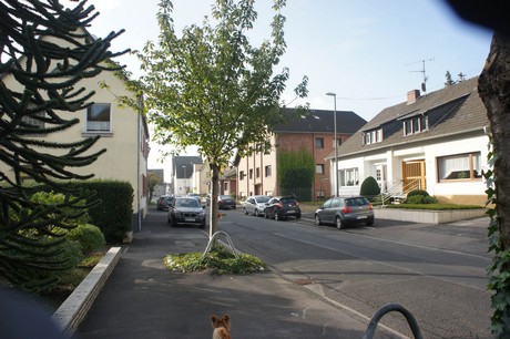 meschenich