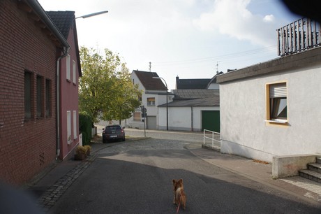 meschenich