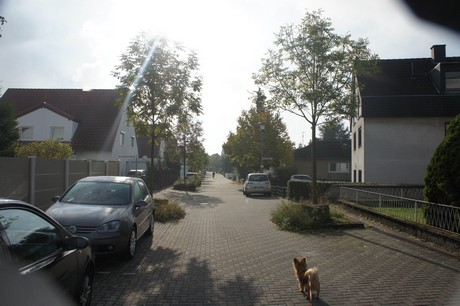 meschenich