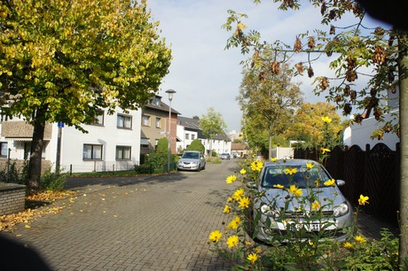 meschenich