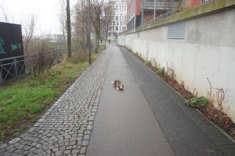muelheim