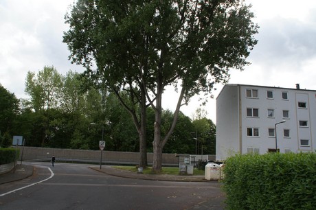 muelheim