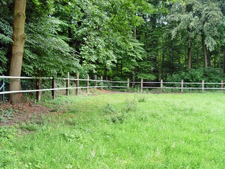 muengersdorf
