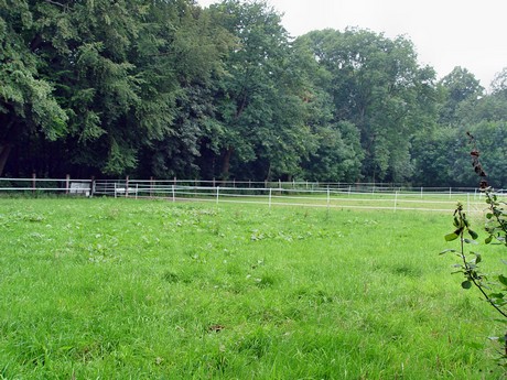 muengersdorf