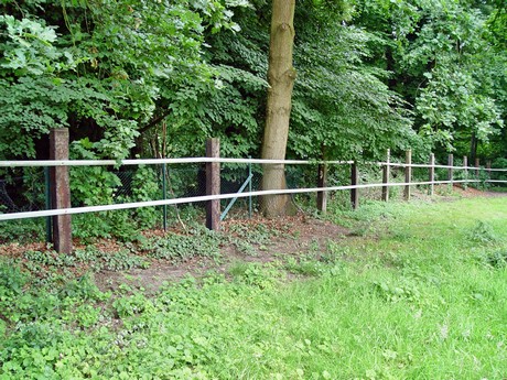 muengersdorf