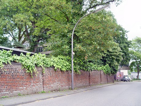 muengersdorf