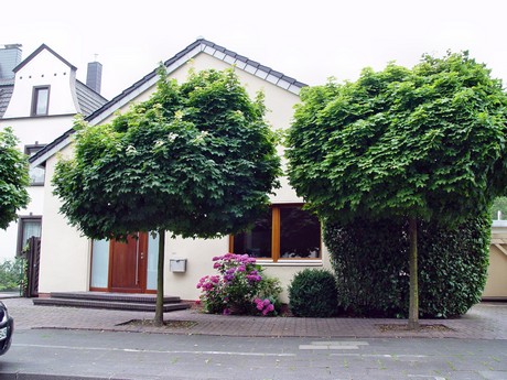 muengersdorf