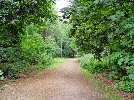 muengersdorf