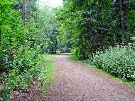 muengersdorf