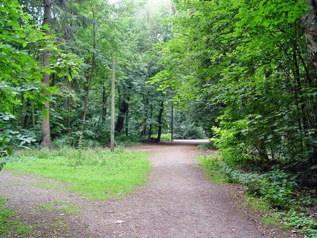 muengersdorf