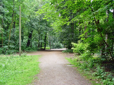 muengersdorf